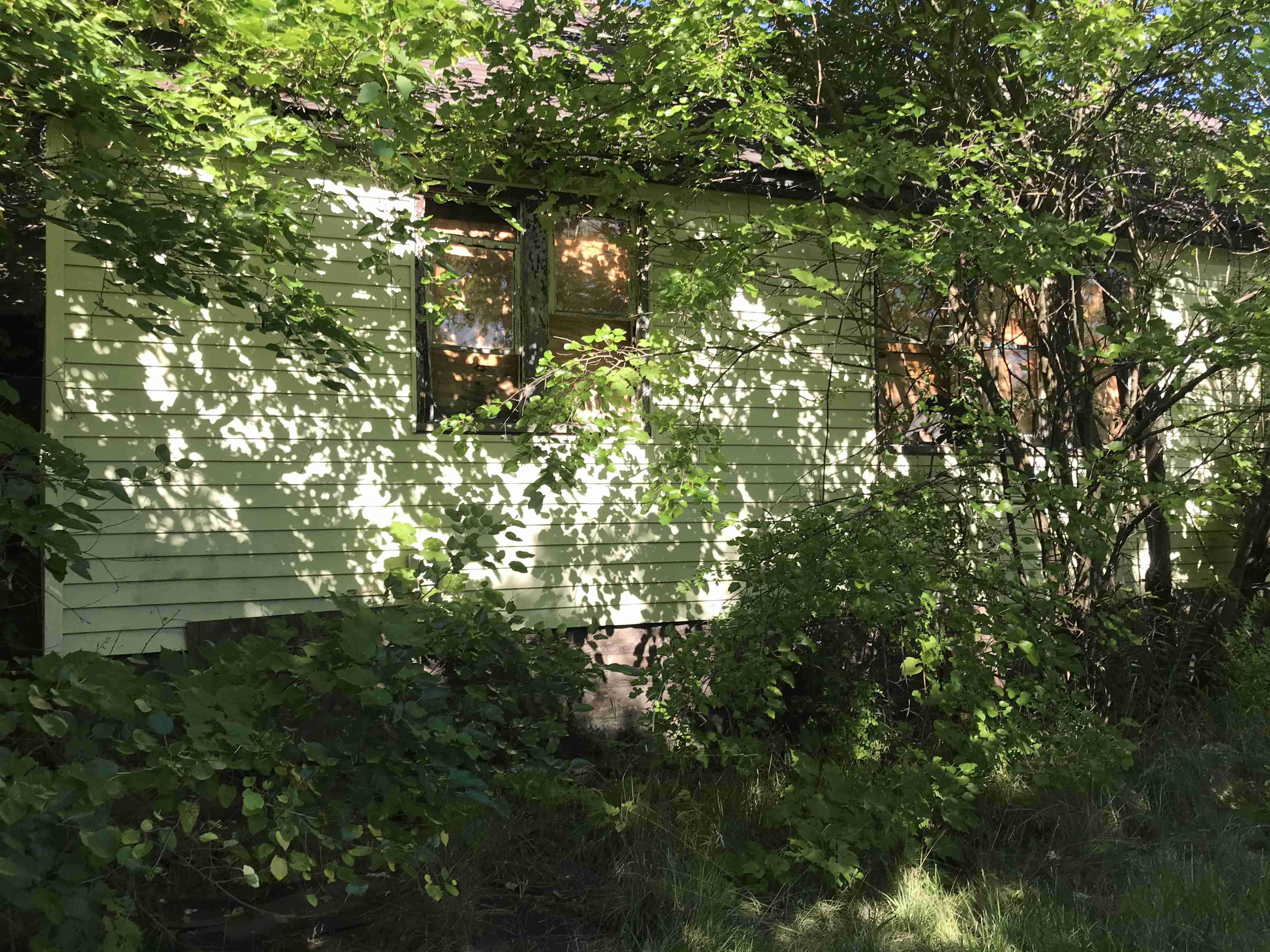 Photo Aug 20, 10 10 27 AM.jpg